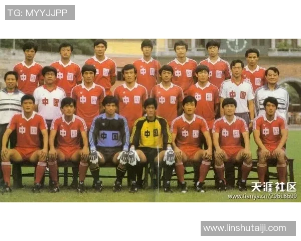 广州排球队阵地战革新之路探索与实践的深度剖析